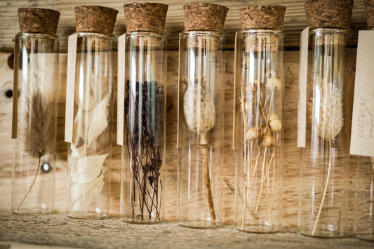 Fiole de fleurs séchées (lot de 10)