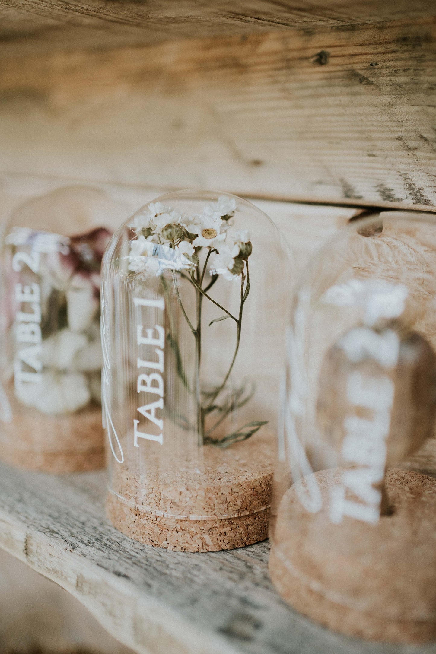 Mini cloche de fleurs séchées (lot de 10)