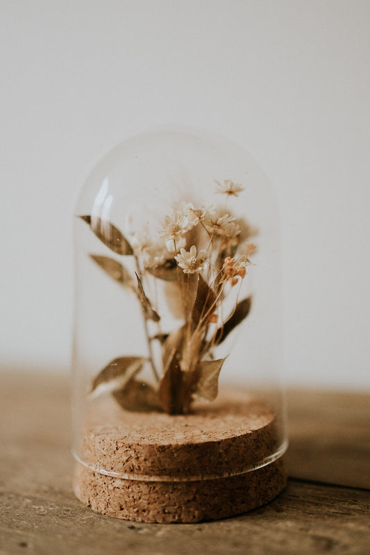 Mini cloche de fleurs séchées (lot de 10)